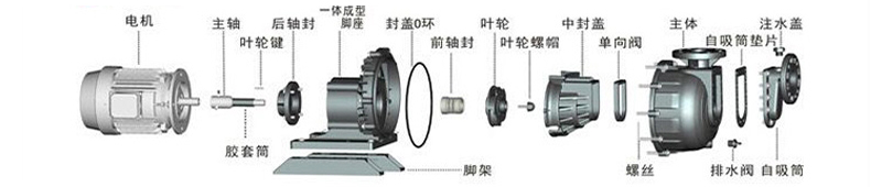 耐酸堿自吸泵分解及零配件